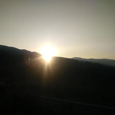 айрови * Sarnitsa