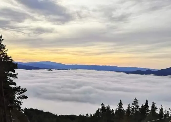 айрови * Szarnica